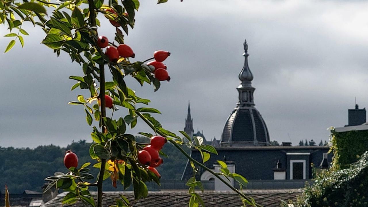 Artstudio Rudesheim Apartman Rüdesheim am Rhein Kültér fotó